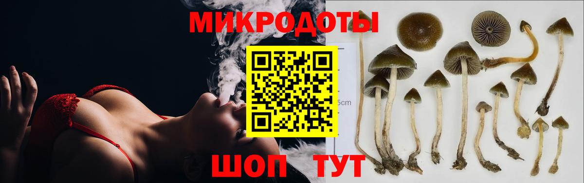 Краснокаменск  Галлюциногенные грибы Psilocybine cubensis  Вход с VPN 